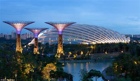 Gardens By The Bay: Supertrees of Singapore light up night sky | Daily ...