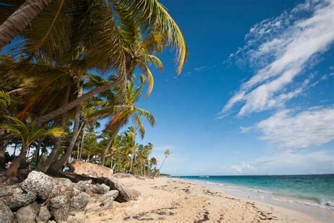 Bavaro Beach (Playa Bavaro), Punta Cana | Tickets & Tours - 2024