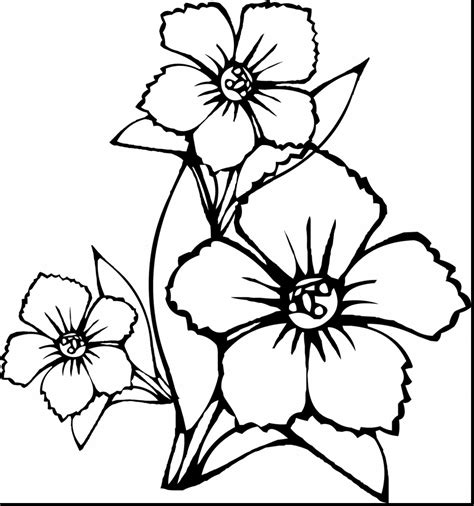 Rainforest Flowers Coloring Pages | Best Flower Site