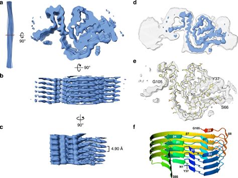 Structure of AL55 amyloid fibrils. a–c Orthogonal views of the ...