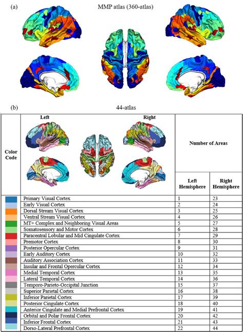 The brain atlases used in the present study (Glasser et al., 2016). (a ...