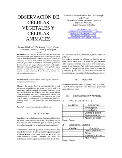 (DOC) OBSERVACIÓN DE CÉLULAS VEGETALES Y CÉLULAS ANIMALES | lina ...