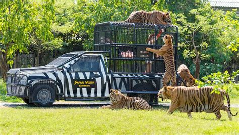 6 PLACES WHERE TO MEET EXOTIC WILDLIFE IN BANGKOK - Travel magazine for ...