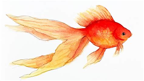 Goldfish Watercolor Painting