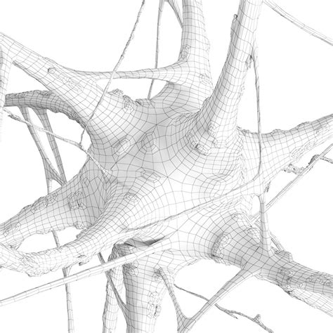 Nerve Cell - 3D Model for VRay