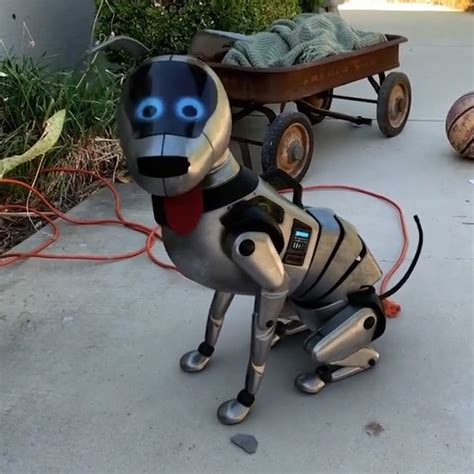 Mysterious robot dog “found” in Los Angeles by Instagram user