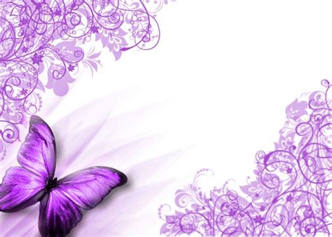 Purple Butterfly HD Background | Download HD Wallpapers | Butterfly ...