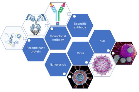 Biological Product Types - REGEXBIO