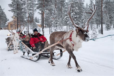 christmas-lapland-reindeer-family - The Family Holiday Guide