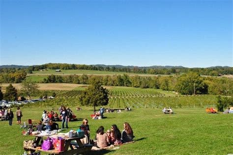 Arrington Vineyards is one of the very best things to do in Nashville