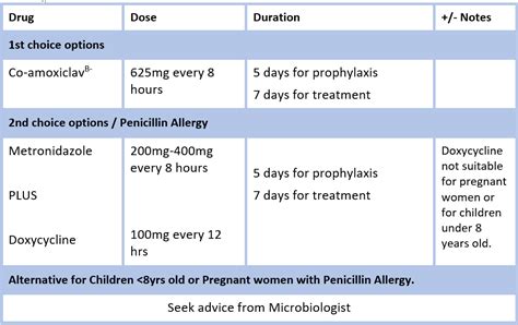 What Antibiotics Are Given For Dog Bites