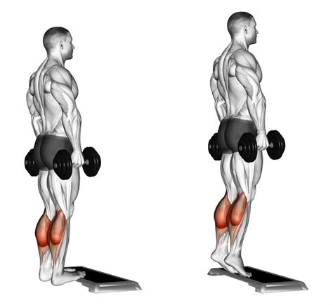 Dumbbell Standing Calf Raise Exercise Guide and Videos – Fitness Volt