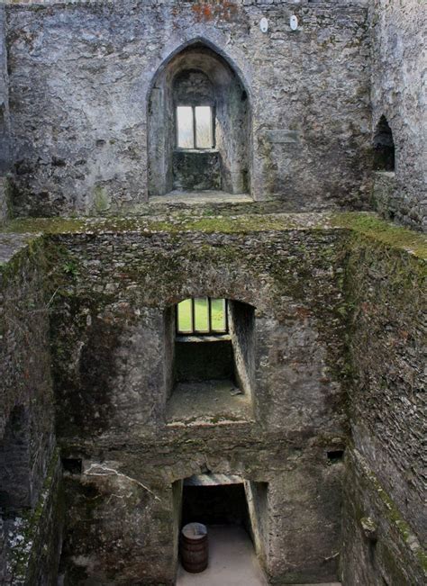 Inside of the Blarney Castle | Castle, House styles, Irish garden