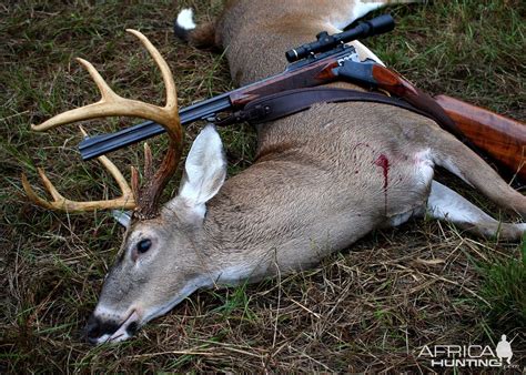 Whitetail Deer Hunting | AfricaHunting.com