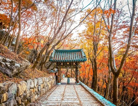 Autumn In Korea 2024 | 48 Exceptional Places To See Breathtaking Fall ...