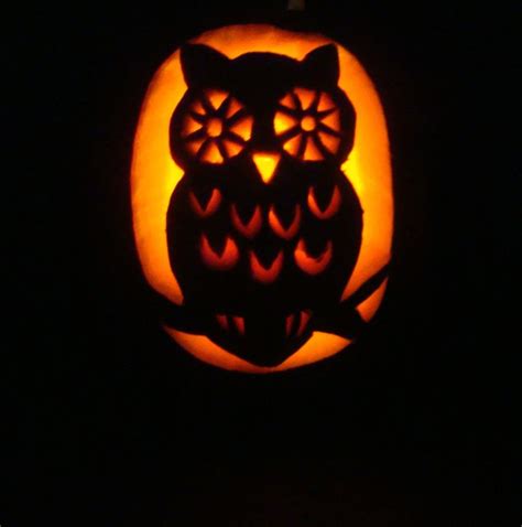 #Owl #Pumpkin Carving 2013 Halloween | Pumpkin carving, Owl pumpkin ...