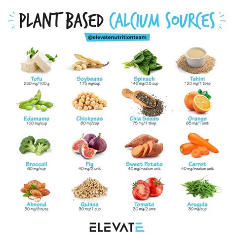 Plant-Based Calcium Source