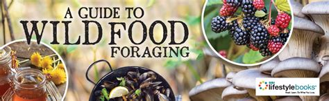 A Guide to Wild Food Foraging: Proper Techniques for Finding and ...