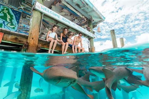 Staniel Cay Yacht Club in the Exuma Cays Bahamas