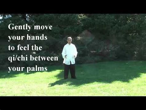 Tai Chi Qigong Shibashi Set 1 - by Master Wing Cheung - YouTube Tai Chi ...