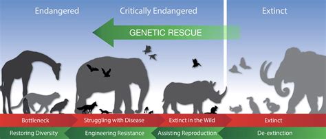 5 Biotechnologies That Might Help Save Endangered Species - Revive ...