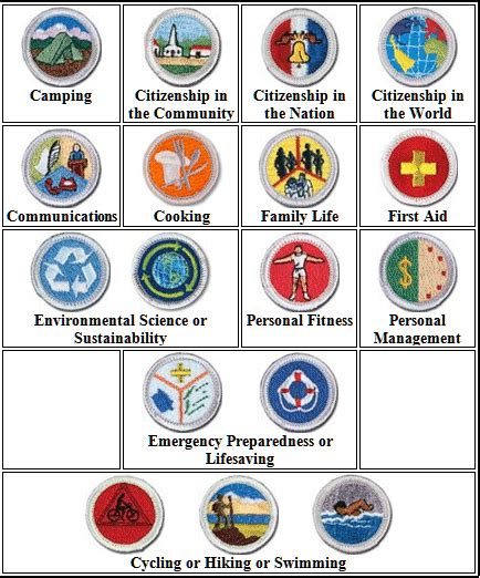 Eagle Gallery: boy scout eagle merit badges worksheets