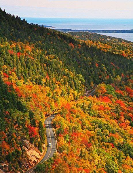 Fall foliage maps the 18 best north american road trips to see fall ...