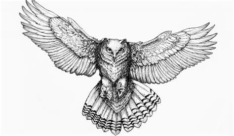 Flying Owl Sketch at PaintingValley.com | Explore collection of Flying ...