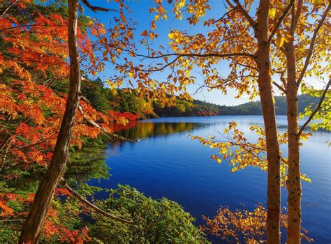 Autumn Lake Bliss - Nature HD Wallpaper