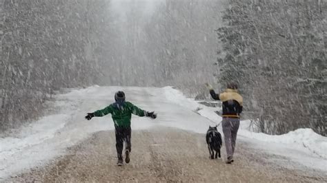 Southern Manitoba gets blasted by spring snow - Manitoba - CBC News