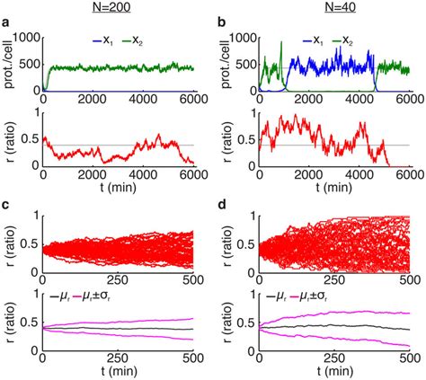 Stochasticity in the dynamics of the two-strain toggle consortium ...