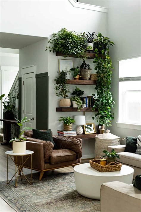 Plant Wall Shelf Ideas {Plant Display Tips!} – Love & Renovations