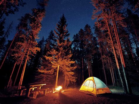 Camping In The Forest