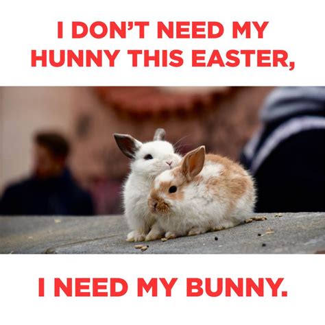 Obama Easter Bunny Memes