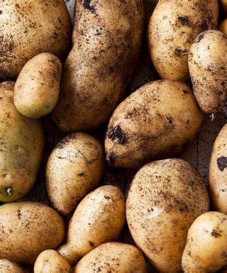 Potato blight explained – plus Monty Don's tips for treatment ...