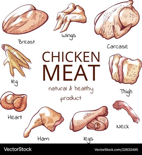 Chicken Meat Chart | sexiezpix Web Porn