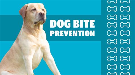 Dog Bite Prevention Week - How to spot it and how to stop