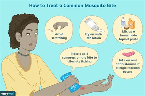 Mosquito Bite Treatment for Itching and How to Recognize Infections