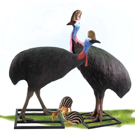 Cassowary Set - Sculpture & Statue