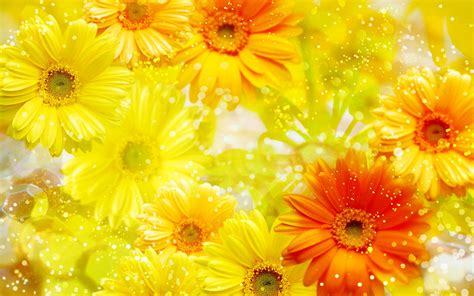 Yellow Flowers Background wallpaper | 1920x1200 | #23762