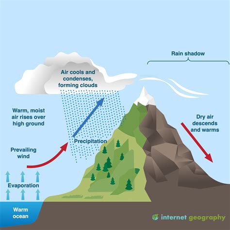 Identify the Steps in the Rain Shadow Process - AileenkruwShannon