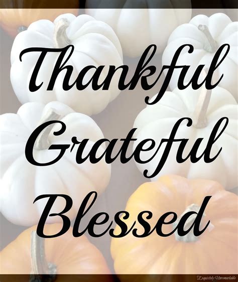 Thankful, Grateful, Blessed - Exquisitely Unremarkable