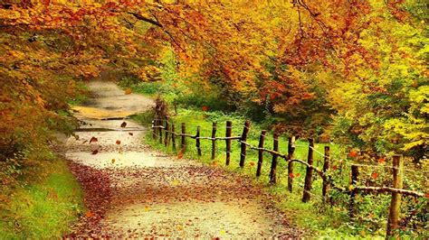 Beautiful Autumn HD Wallpapers 1920x1080 - WallpaperSafari