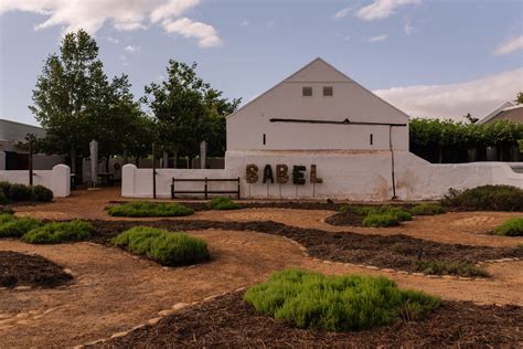 Wedding at Babylonstoren in Paarl // Tanya + Alex – Vancouver Wedding ...