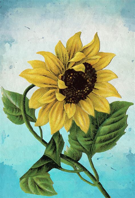 Sunflower Print Set of Two Wall Art Botanical Prints Floral Sunflowers ...