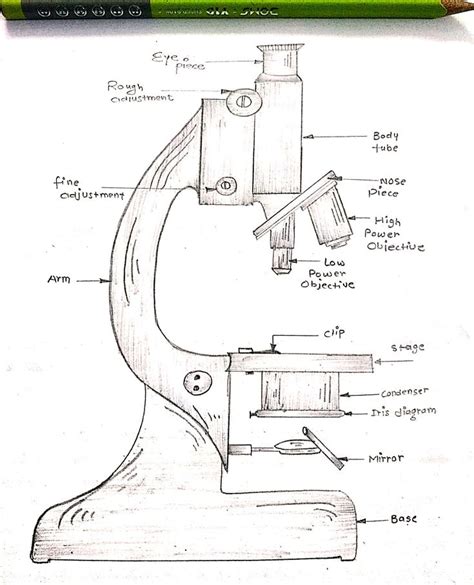 Microscope Drawing/Art..Black&white pencil shade...Medical/biology ...