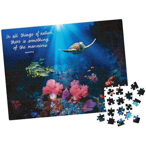 300-Piece Calm Jigsaw Puzzle for Stress Relief, Calm Coral - Walmart.com