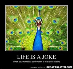 Funny Peacock Quotes. QuotesGram