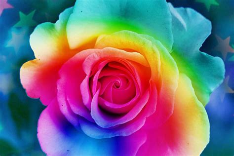 Rainbow Flower Wallpaper ·① WallpaperTag