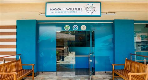 Hawaiʻi Wildlife Discovery Center Opens at Whalers Village! | Hawaii ...